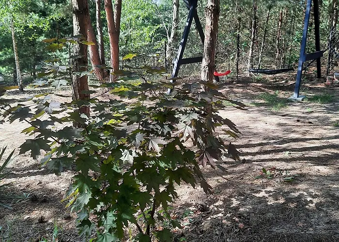 Leśniczówka Gorzewo